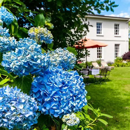 Дом отдыха Luxury Country Mansion In West Cork Бандон