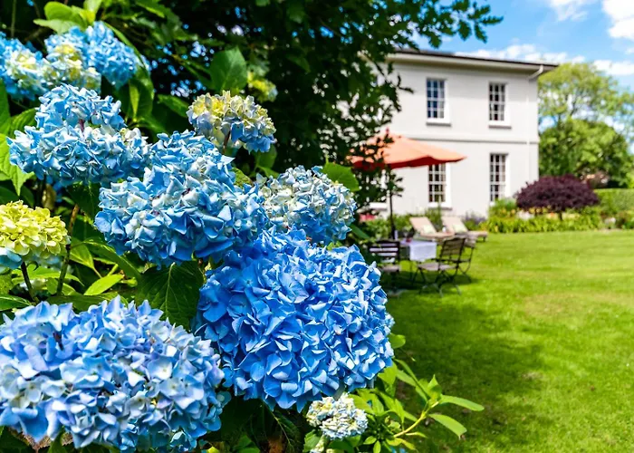 Holiday home Luxury Country Mansion In West Cork Bandon